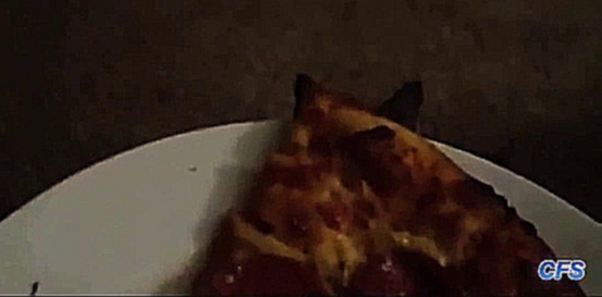Видеоклип коты воруют  пиццу