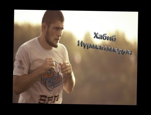 Хабиб Нурмагомедов красивые моменты из UFC