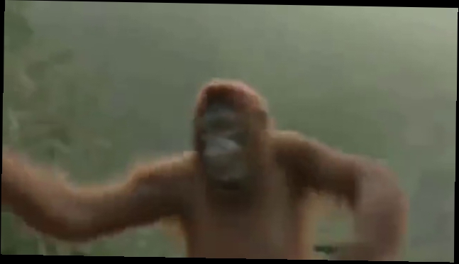 танец этой гориллы просто убил, прикольно ,ржал до слез!)))