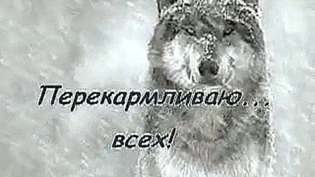 Видеоклип Волк - стих Марины Цветаевой