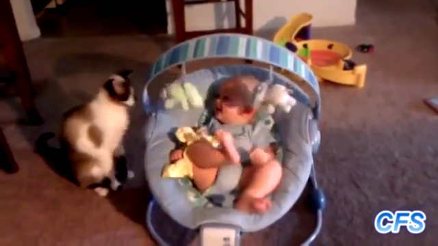 Видеоклип подборка-кошки любят малышей