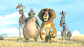 Мадагаскар 2 2008 трейлер