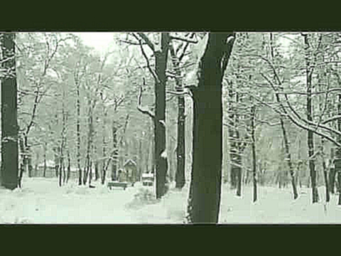 В моем городе - первый снег! Киев Украина