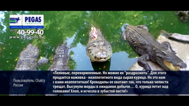 «Новости Пегас Туристик» Рейс 25 января Хабаровск-Паттайя