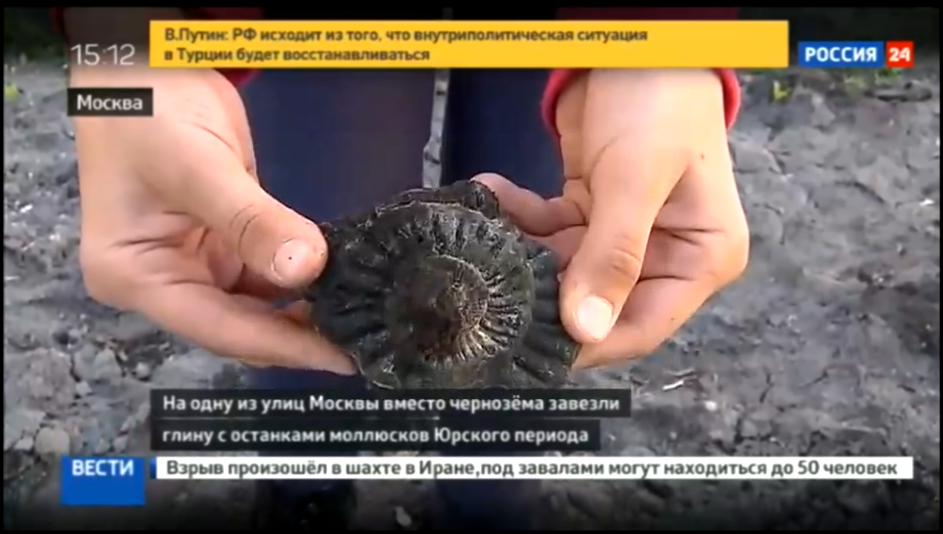 Московский газон благоустроили окаменелостями Юрского периода