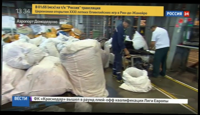 Через аэропорт Домодедово пытались ввезти 3 тонны контрабандных шуб