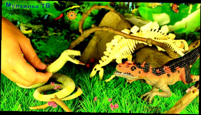 Яйца Тираннозавра | #4 серия. ЗМЕЯ С АЛЛОЗАВРОМ ЗАГОВОР! Динозавры для детей. Театр игрушек