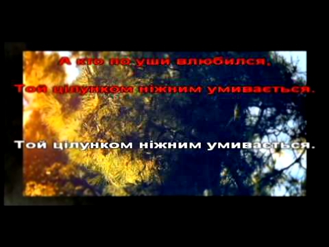Видеоклип Оля Цибульська - Метелики-Бабочки (караоке)
