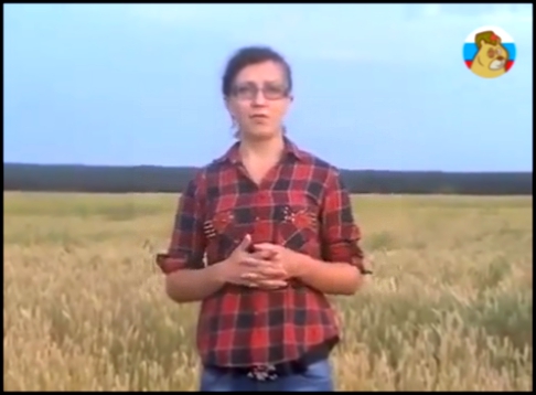 Видеоклип Курский фермер пообещала сжечь урожай в обращении к Владимиру Путину