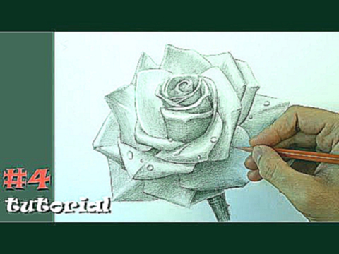 Как нарисовать розу.  Учимся рисовать розу карандашом.