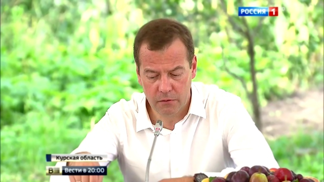 Медведев предложил приравнять энерготариф для садоводов к сельскому