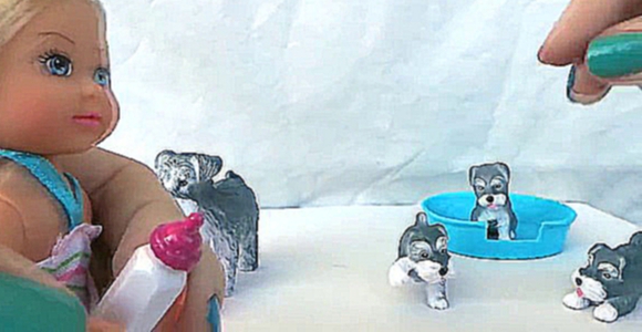 Развивающий мультфильм с куклой Эви Лав Evi Love Animal Friends. Собака и щенки. Куклы для детей.