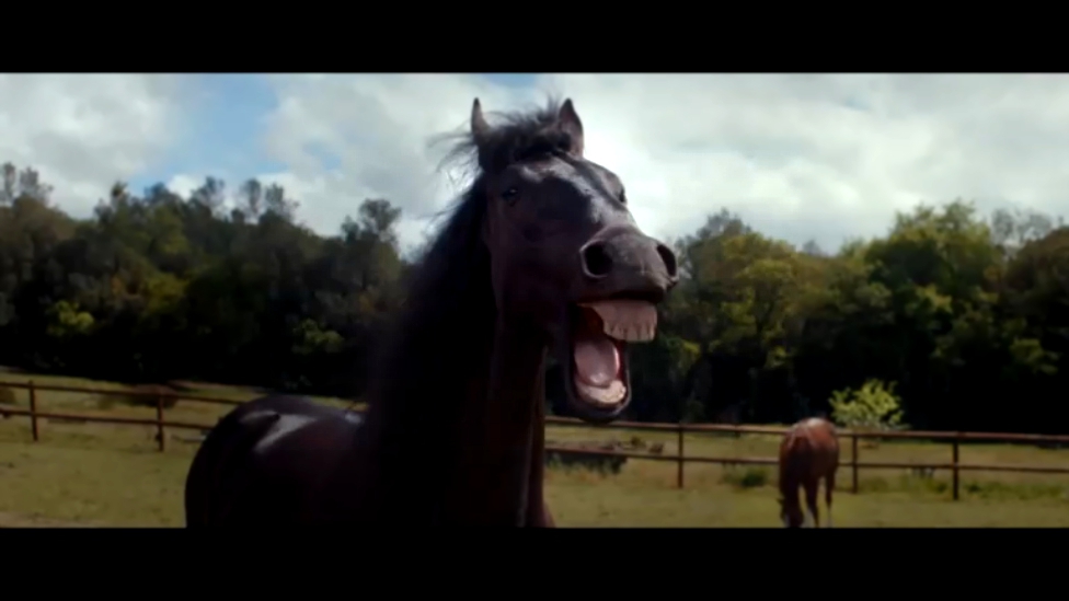 Смеющиеся лошади в рекламе Volkswagen