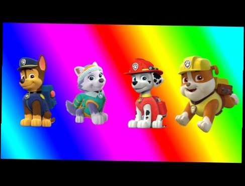 Wrong eyes paw patrol colors for kids to learn
