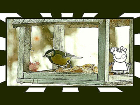 Розвиваючі мультфільми українською мовою. Свинка Пепа годує салом синичку в годівничці