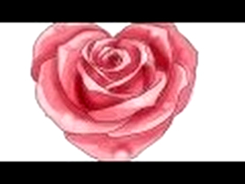 Как нарисовать сердце розы