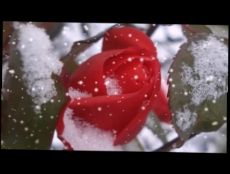 Видеоклип Лариса Долина & Александр Панайотов - Цветы под снегом