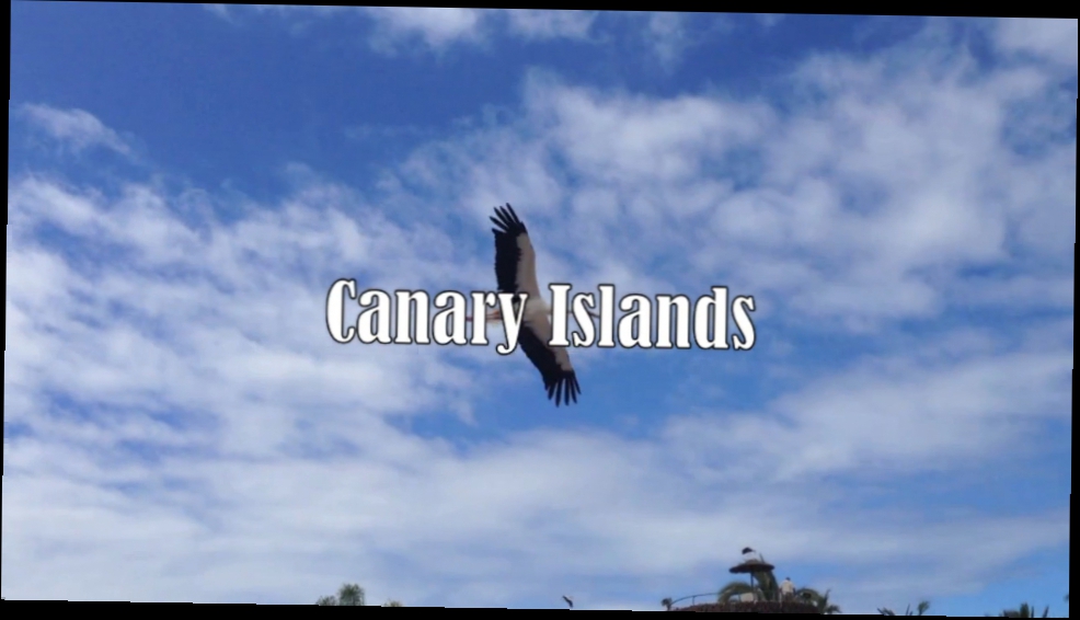 Видеоклип Canary Islands/Жить в Кайф 2013