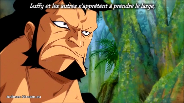 One Piece - 773.Vostfr [ PREVIEW ]