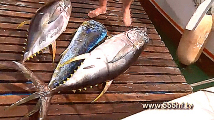 Видеоклип Морская рыбалка. Голубой марлин на 145 кг. Маврикий. Часть 4.