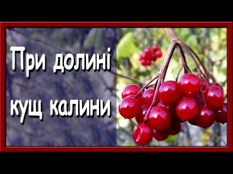 Видеоклип Українські пісні онлайн. При долині кущ калини