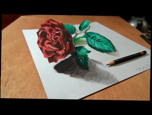 3D Drawing Rose on Paper, Artistic Illusion