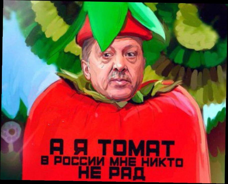 Турецким помидорам не место на российском рынке, заявил глава Минсельхоза