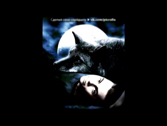 Видеоклип «волчица» под музыку  Мафик - Волк и волчица (