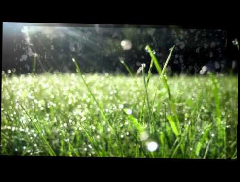 Видеоклип Расслабляющие звуки природы - Шум дождя - Полный релакс - Звук дождя. Спокойствие...